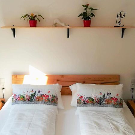 Apartmany Cechovni Moravská Třebová Rum bild